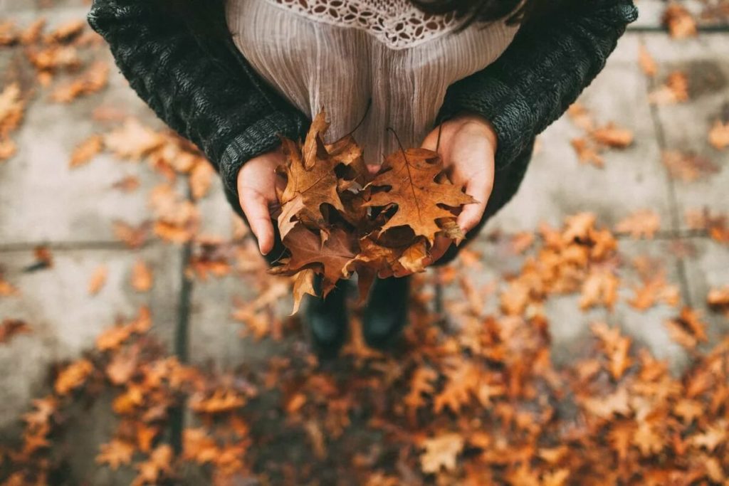 Фото Осень Девушка Со Спины Брюнетка