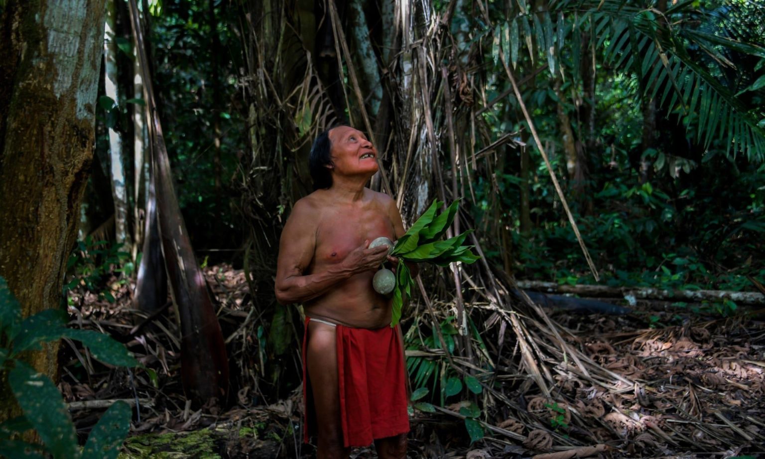 Дикие племена джунглей амазонки