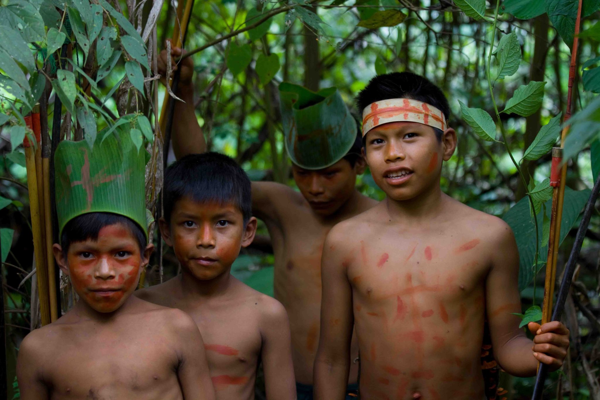 дикие племена в бразилии