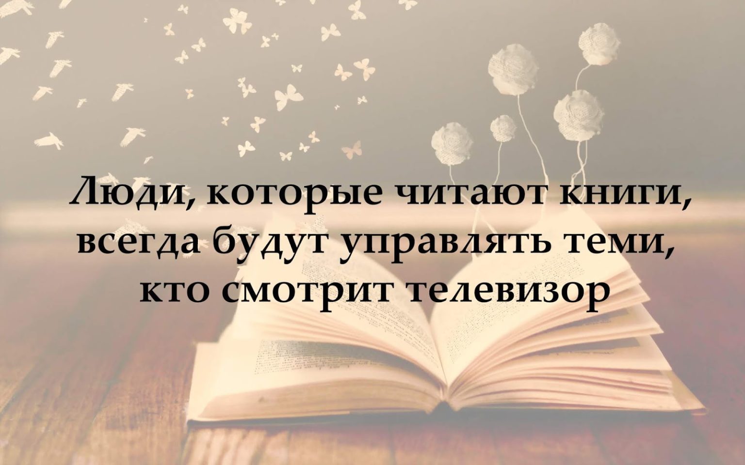 Высказывания про книги картинки