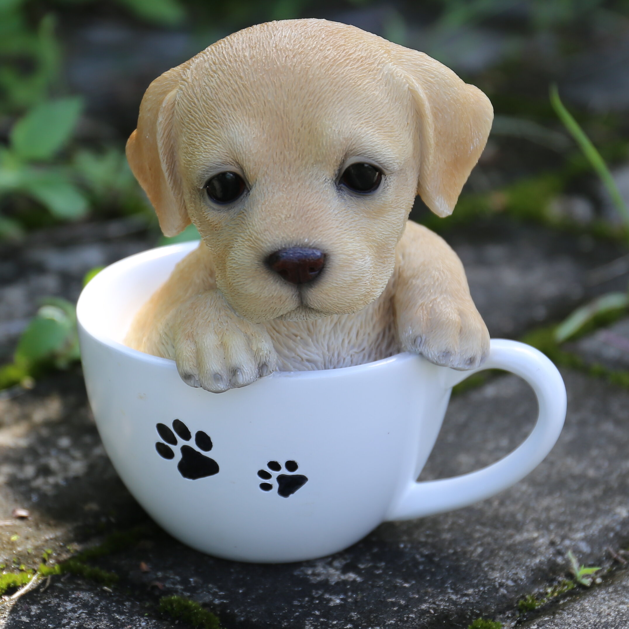 Покажи милые. Teacup собачки. Милый щенок. Милые щенки. Про маленького щенка.