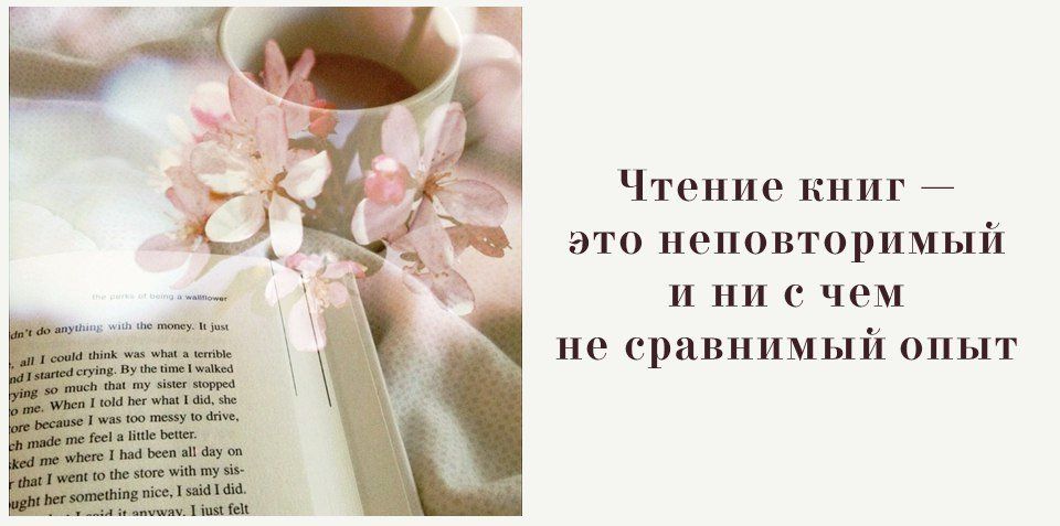 Цветы цитата из книг. Цитаты про книги. Цитаты о книгах и чтении. Цитаты про цитание книг. Цитаты про чтение.