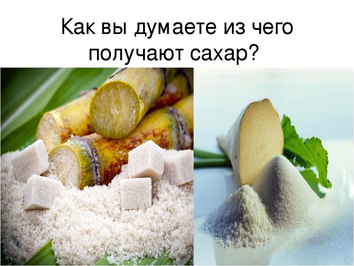 Из чего получают сахар. Из чего делают сахар. Как делают сахар в России. Из чего изготавливается сахар. РЗ чего делается сахар.