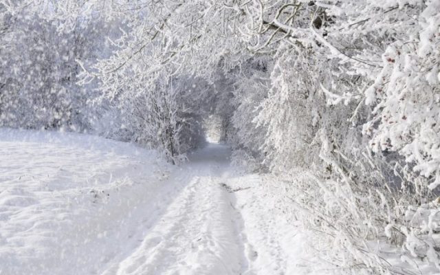 Картинки со снегом