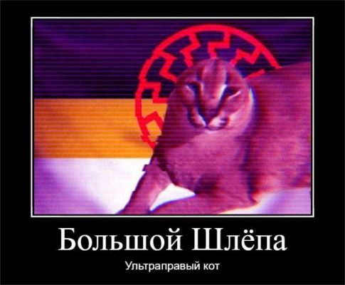 50 50